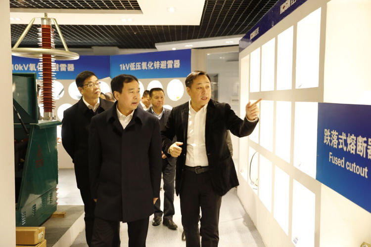 温州市委常委、组织部长马永良莅临Z6尊龙凯时电气集团调研指导